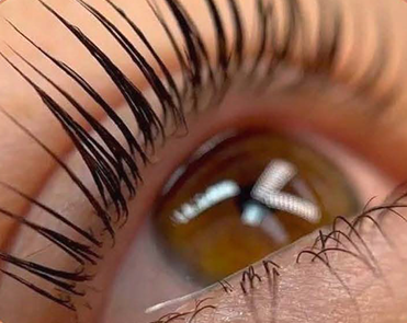 Lash Lifting